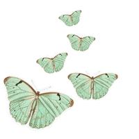 Sdesignworks glitter flying disco blink Sticker