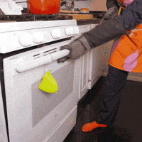 sourdoughdisco disco sourdough GIF