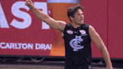 carltonfc celebration pumped afl blues GIF