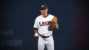 Pro GIF by USA Baseball