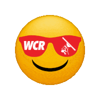 Wcr Windowcleaner Sticker by Window Cleaning Resource