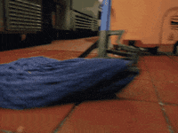 You And I Restaurant GIF by Pure Noise Records