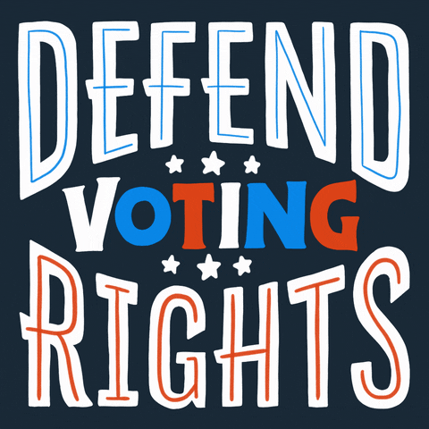 Voting Rights GIF by INTO ACTION
