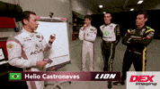 Lion Penske Games GIF by Team Penske