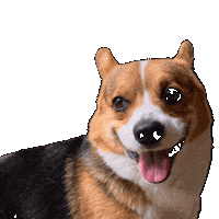 Dog Cheer Sticker