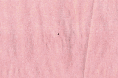 pink drawing GIF by Philippa Rice