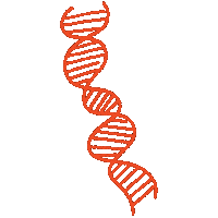 Dna Chromosoom Sticker by Thomas More-hogeschool