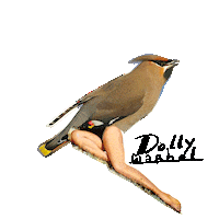 Bird Pinup Sticker by Dolly Warhol