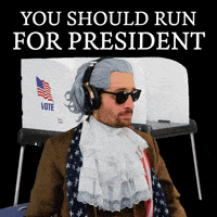 Run For Office Vote GIF