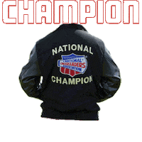 Cheer Cheerleader Sticker by Varsity Spirit