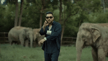 Indian Elephant India GIF by Karan Aujla