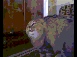 girlfriend finger GIF