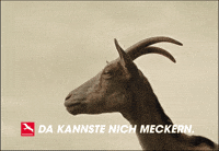 unserbrandenburg  GIF