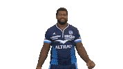 Celebration Top14 Sticker by Montpellier Hérault Rugby