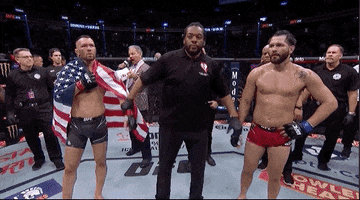 Mixed Martial Arts Sport GIF by UFC