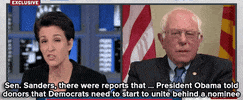 hillary clinton news GIF