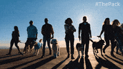 The Pack Dogs GIF by Amazon Prime Video