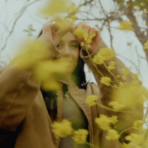 Flower Plant GIF by Sofia Camara