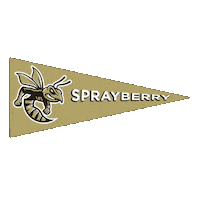 High School Football Sticker by GPB Sports