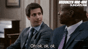 andy samberg GIF by Fox TV