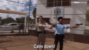Reno 911 GIF by The Roku Channel