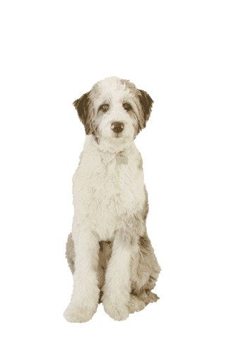lucyedendesign giphyupload dog logo design hopper Sticker