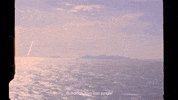 GIF by NOWNESS