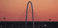 texas dallas GIF