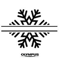 Christmas Countdowntochristmas Sticker by Olympus UK