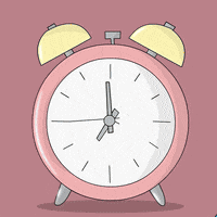 Voting Election Day GIF by Pudgy Penguins