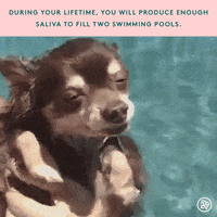 GIF by Refinery 29 GIFs