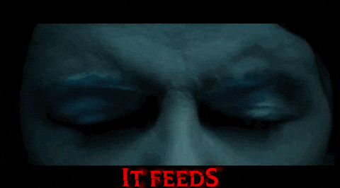 Ashley Greene Creature GIF by Signature Entertainment