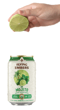 flyingembers drink drinks juice lime Sticker
