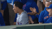 Celebration Smile GIF by New York Mets