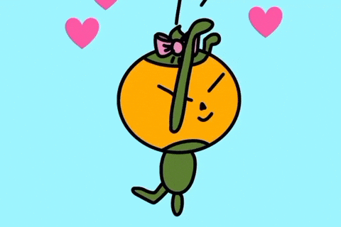 GIF by Orandot