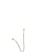 Dew Happy Skin Sticker by Happy Skin Cosmetics