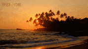 blind date beach GIF by Stellify Media