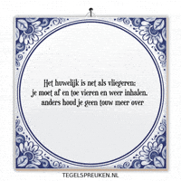 Teamwork Nl GIF by Tegelspreuken.nl