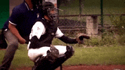 Catch Black Rickers GIF by Black Rickers Baseball Softball Club