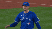 Blue Jays Baseball GIF by Toronto Blue Jays
