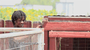 shaunies home court GIF by VH1
