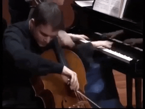 FIVLeon_MX giphygifmaker violoncello mikolaj konopelski GIF