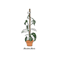 Plant Plantlovers Sticker by Monstera Mania