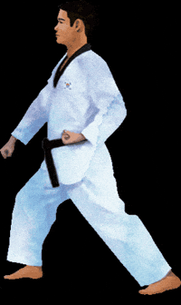 Martial Arts Sport GIF by vank