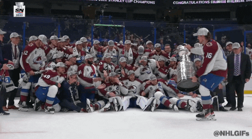 Stanley Cup Hockey GIF by NHL