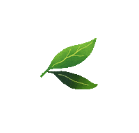 Leaf Sticker