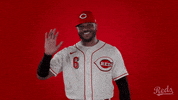 Phillip Ervin Baseball GIF by Cincinnati Reds