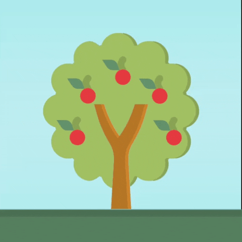 ciderzale apple tree shake harvest GIF
