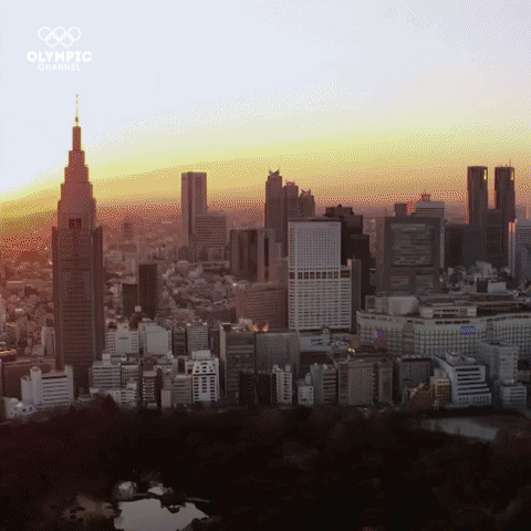GIF by Olympic Channel