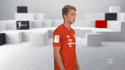 Posing Germany GIF by Bundesliga